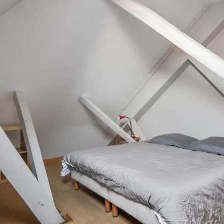 Apartamento Charming Flat At The Heart Of Old Close To Stations - Welkeys Lille